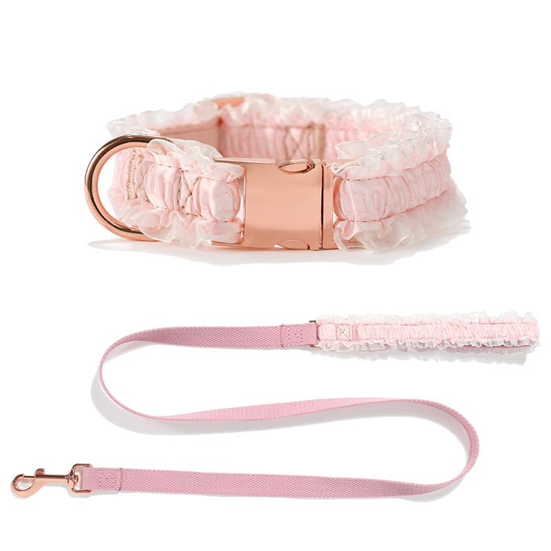 Pet Collar With Leash