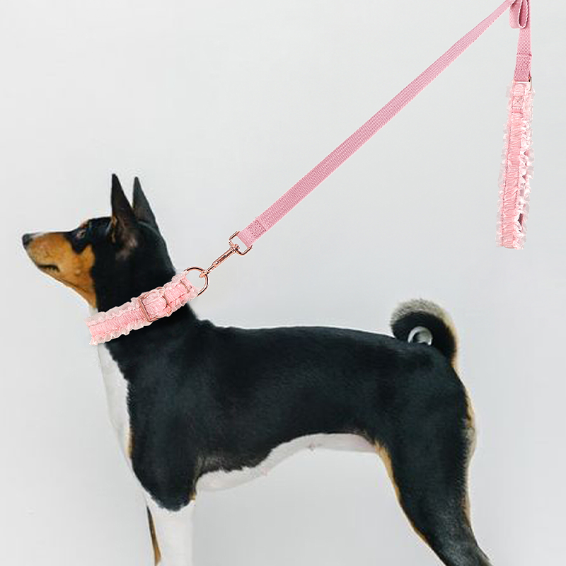 Pet Collar With Leash