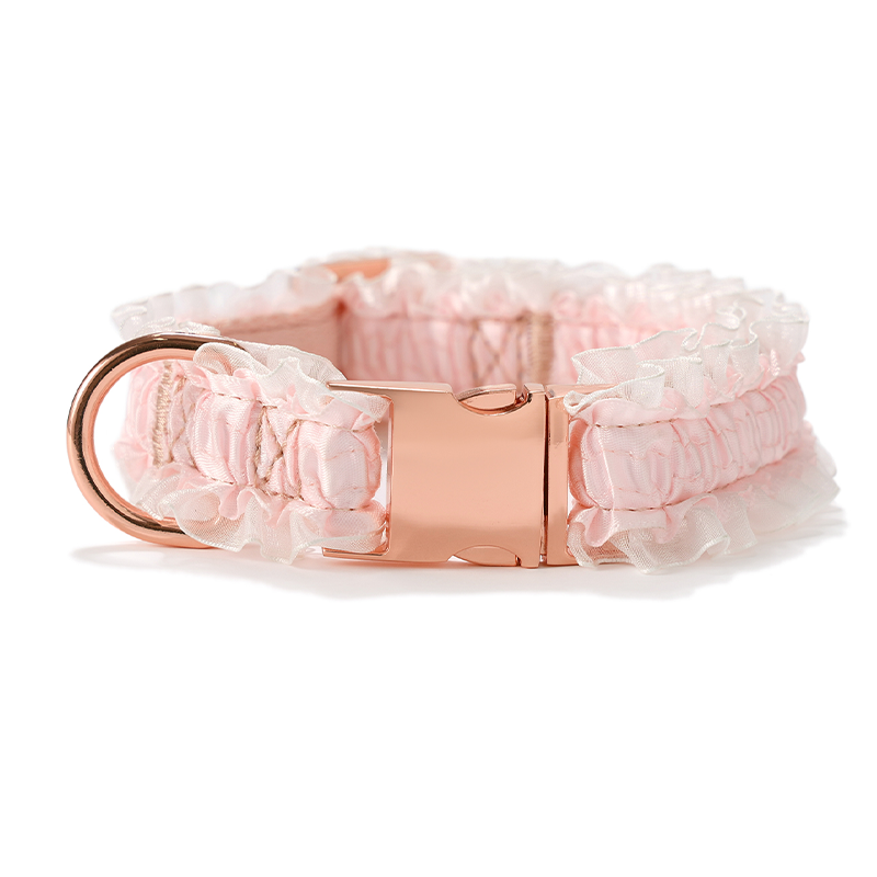 Pet Collar With Leash