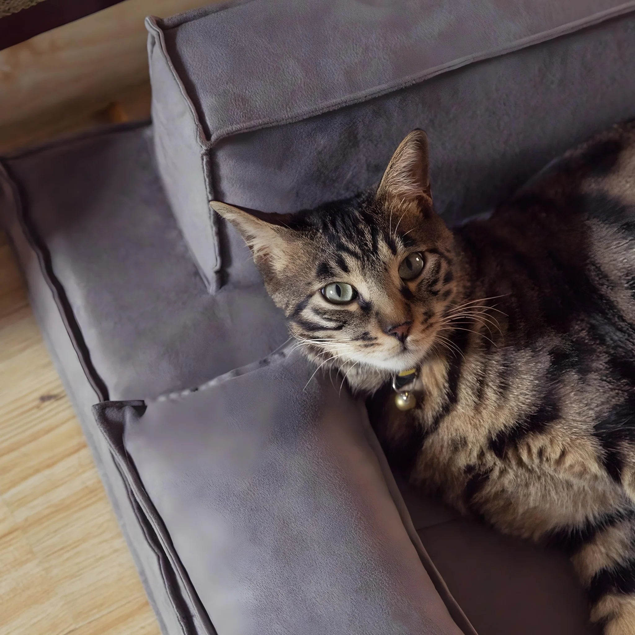 Straight Bed For Dog